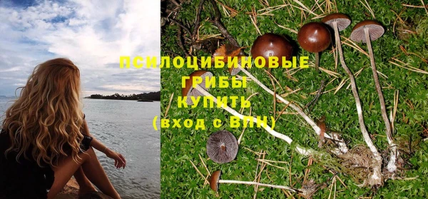 ешки Волоколамск