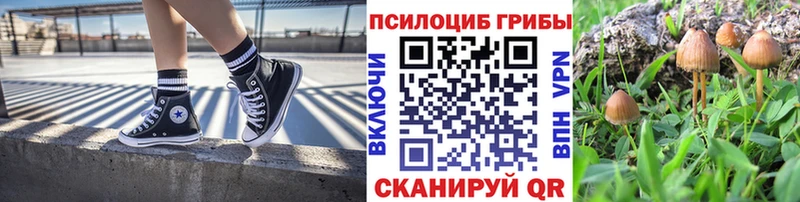 Галлюциногенные грибы Psilocybine cubensis  наркошоп  Сочи 
